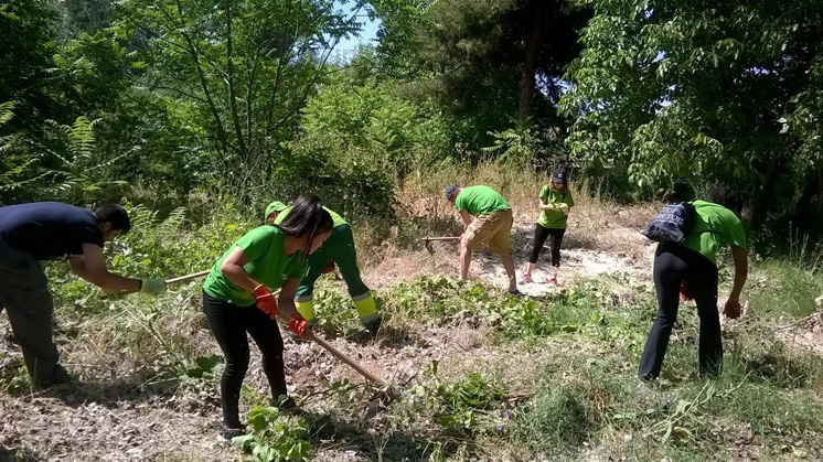 Día del Voluntariado en Cuenca.