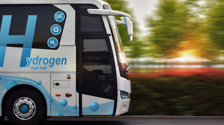 Buses.