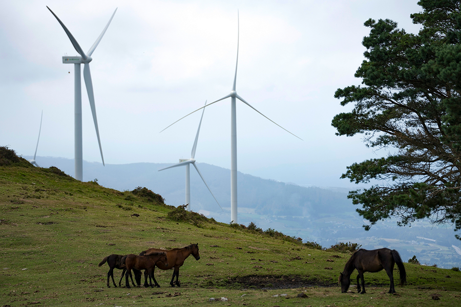 Horses grazing in a field with wind turbines in the background in a natural landscape