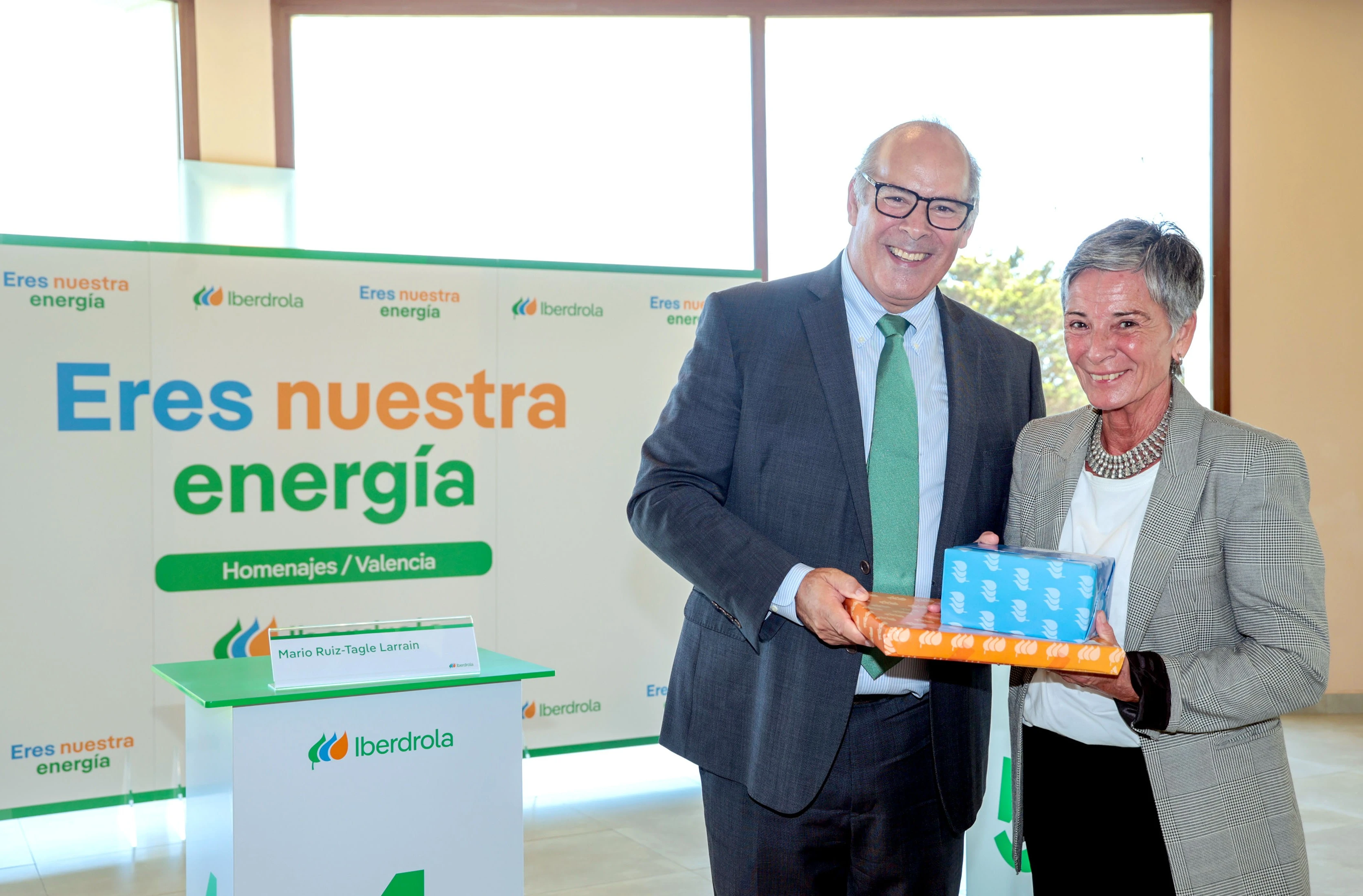 El CEO de Iberdrola España, Mario Ruiz-Tagle