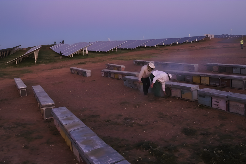 Solar energy in Andalusia - Iberdrola España