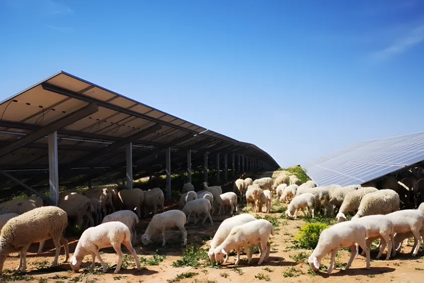 Planta solar