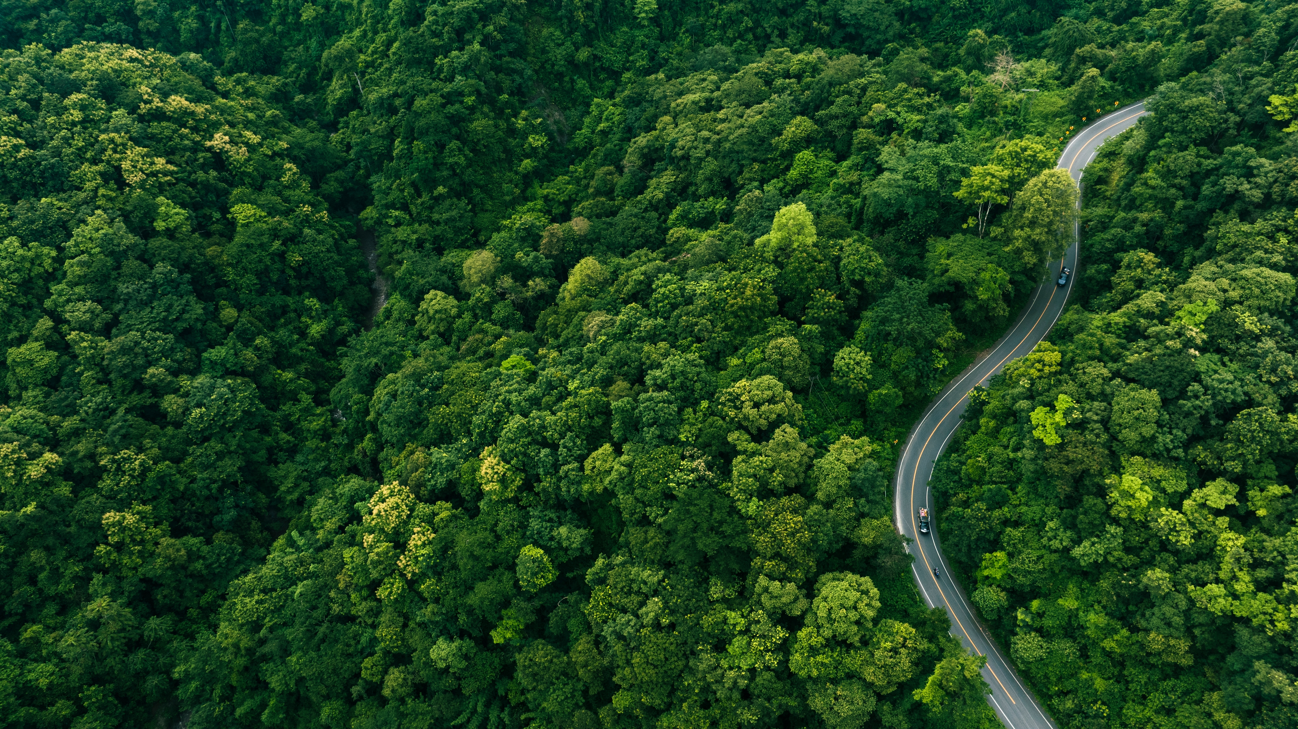 An aerial view of a forest with a road running through the natural landscape, illustrating the link between sustainability and mobility.