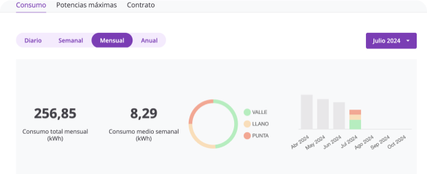 sesp.infografias.consumo_datadis.image_alt_3